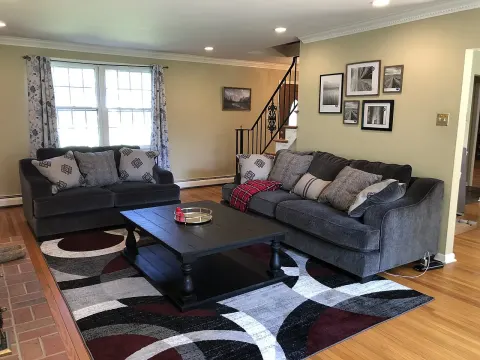 Large living room rug, 5 x 8 ft